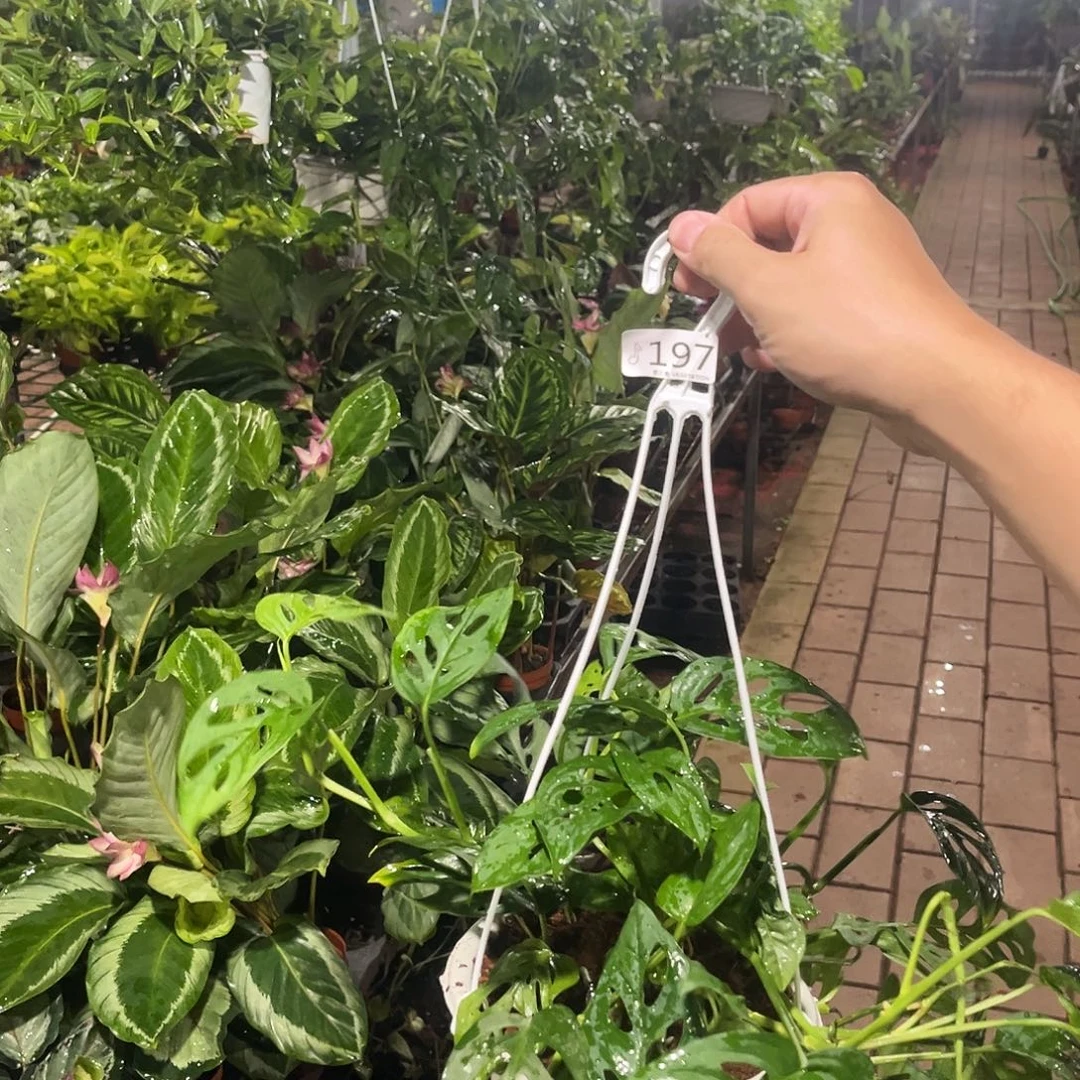 完全开放197米歇尔