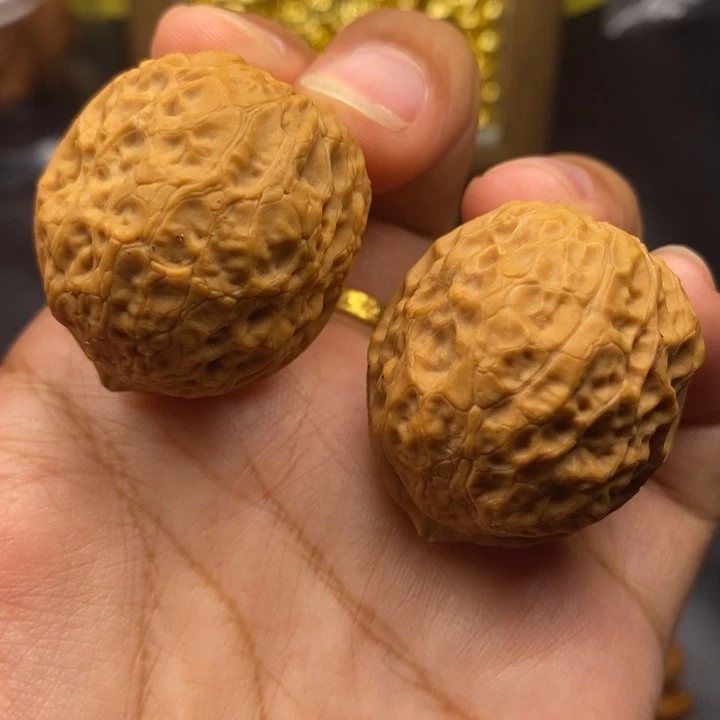 文玩核桃把件37尺蛇皮元宝