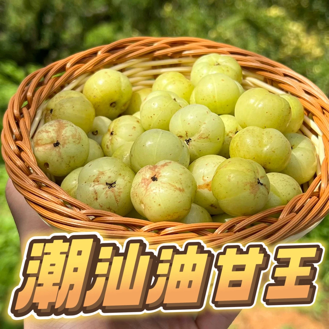 潮汕金灶柿饼甜种油甘中大果 生吃回甘甜 煲汤榨汁 1斤起包