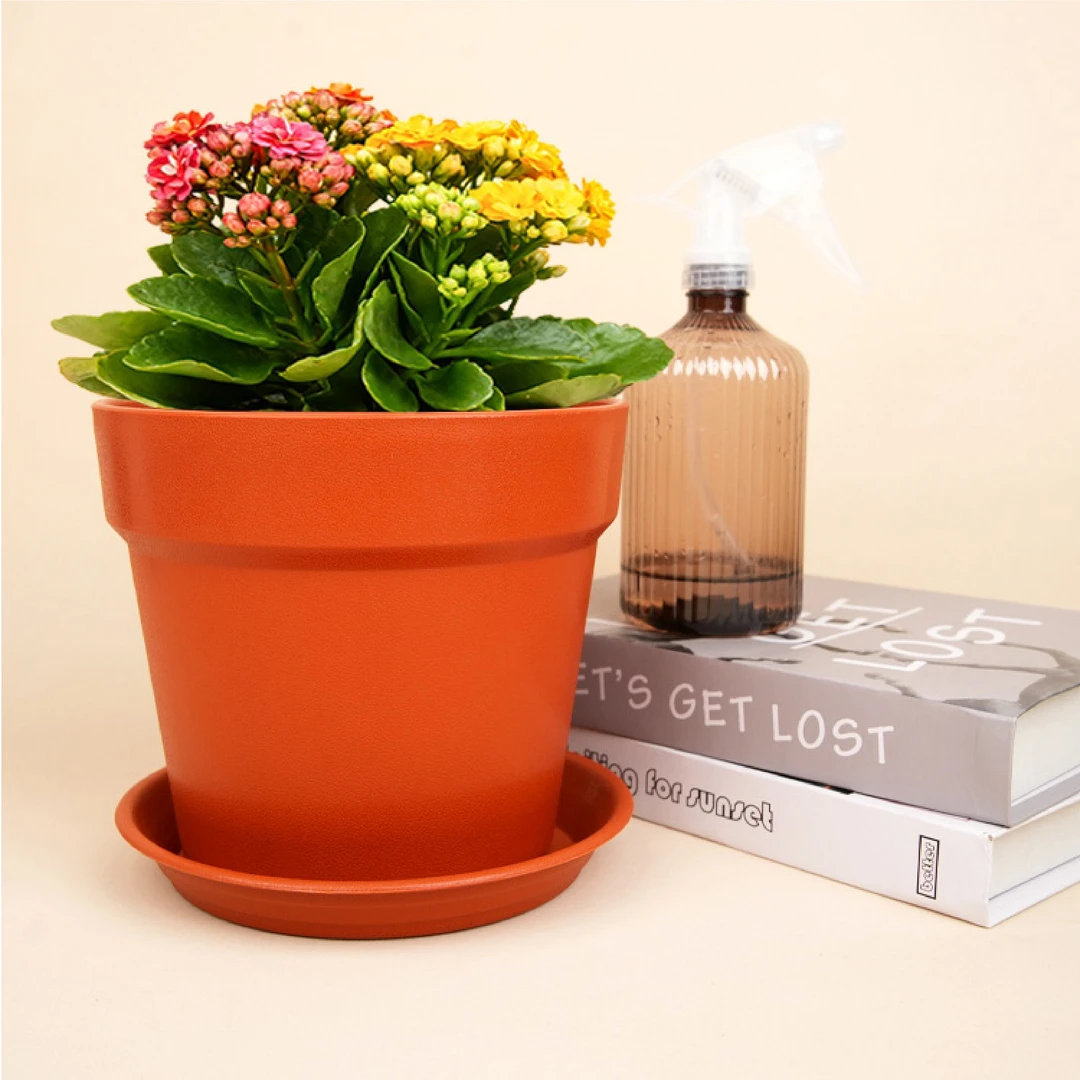 正品仿红陶口19.8cm高17.3cm （1.5加仑)