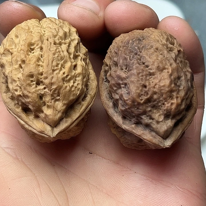 把件文玩核桃8号云铁41尺54克