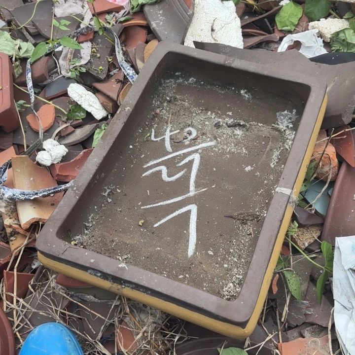 紫砂花盆紫砂的花