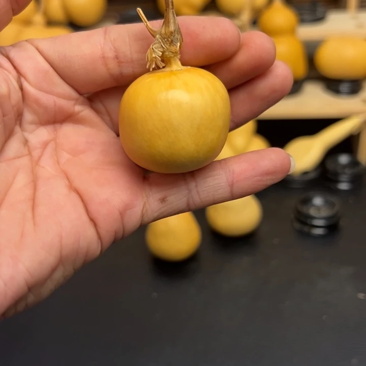 胆**_12555555532558666956