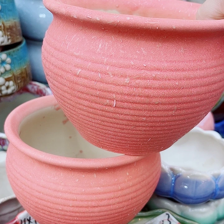 多肉植物陶瓷花盆