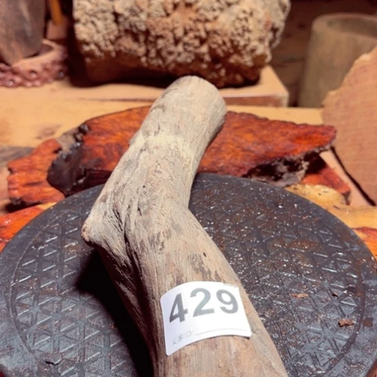 大果紫檀（缅甸花梨）