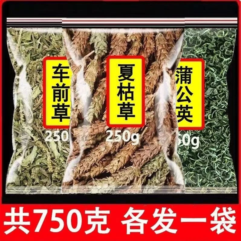 车前草蒲公英夏枯草组合夏枯球干货婆婆丁猪耳朵草煮鸡蛋泡茶煮水