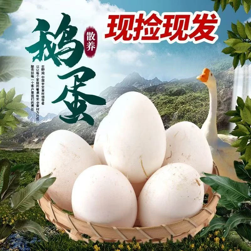 农家散养新鲜土鹅蛋现捡现发适合孕妇老人孩子