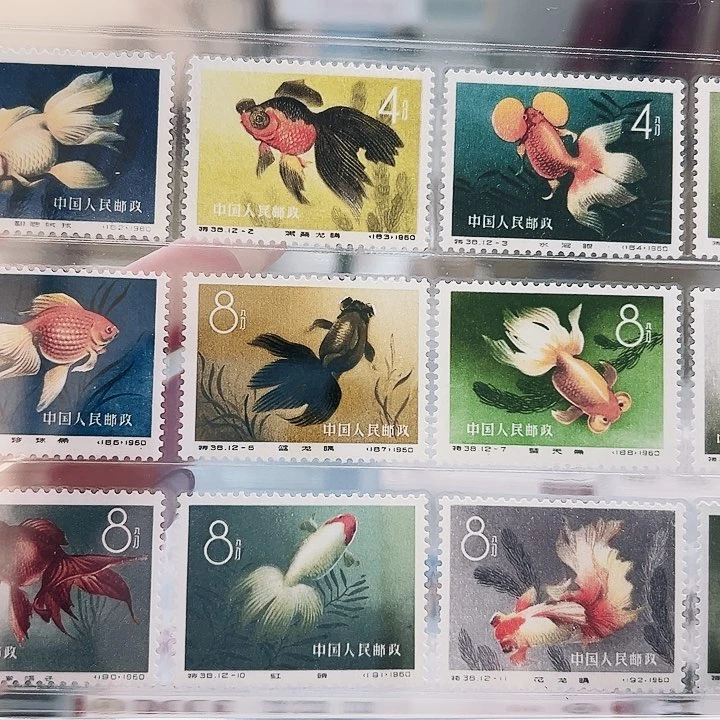 特38金鱼套票国恒评级98xf