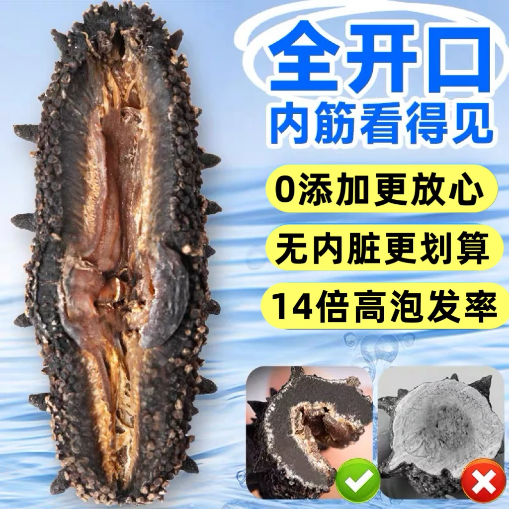 【全开口已去牙】【纯肉干】国标淡干海参 14倍高泡发率国标淡干海参