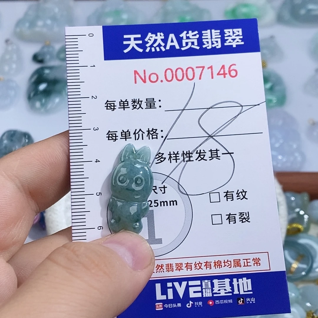 翡翠未镶嵌颈饰7146