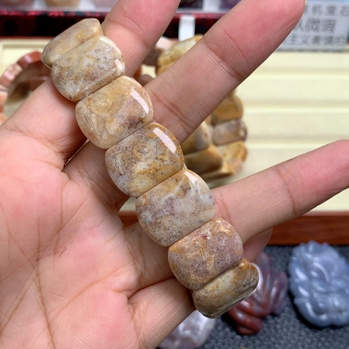 硅化珊瑚（珊瑚玉）未镶嵌颈饰