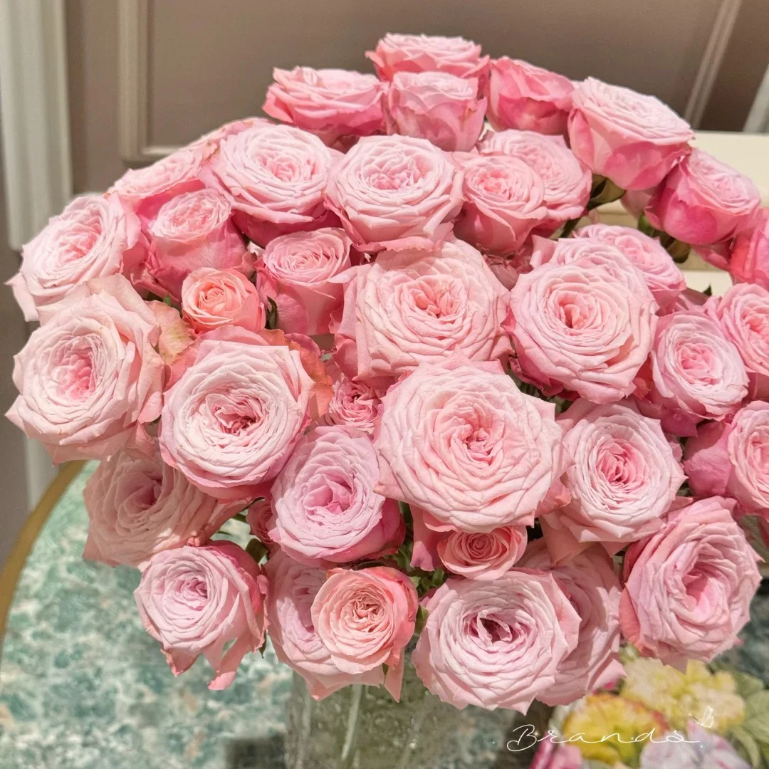 云花巷 *多头玫瑰 【鸟巢】鲜花优选顺丰直发