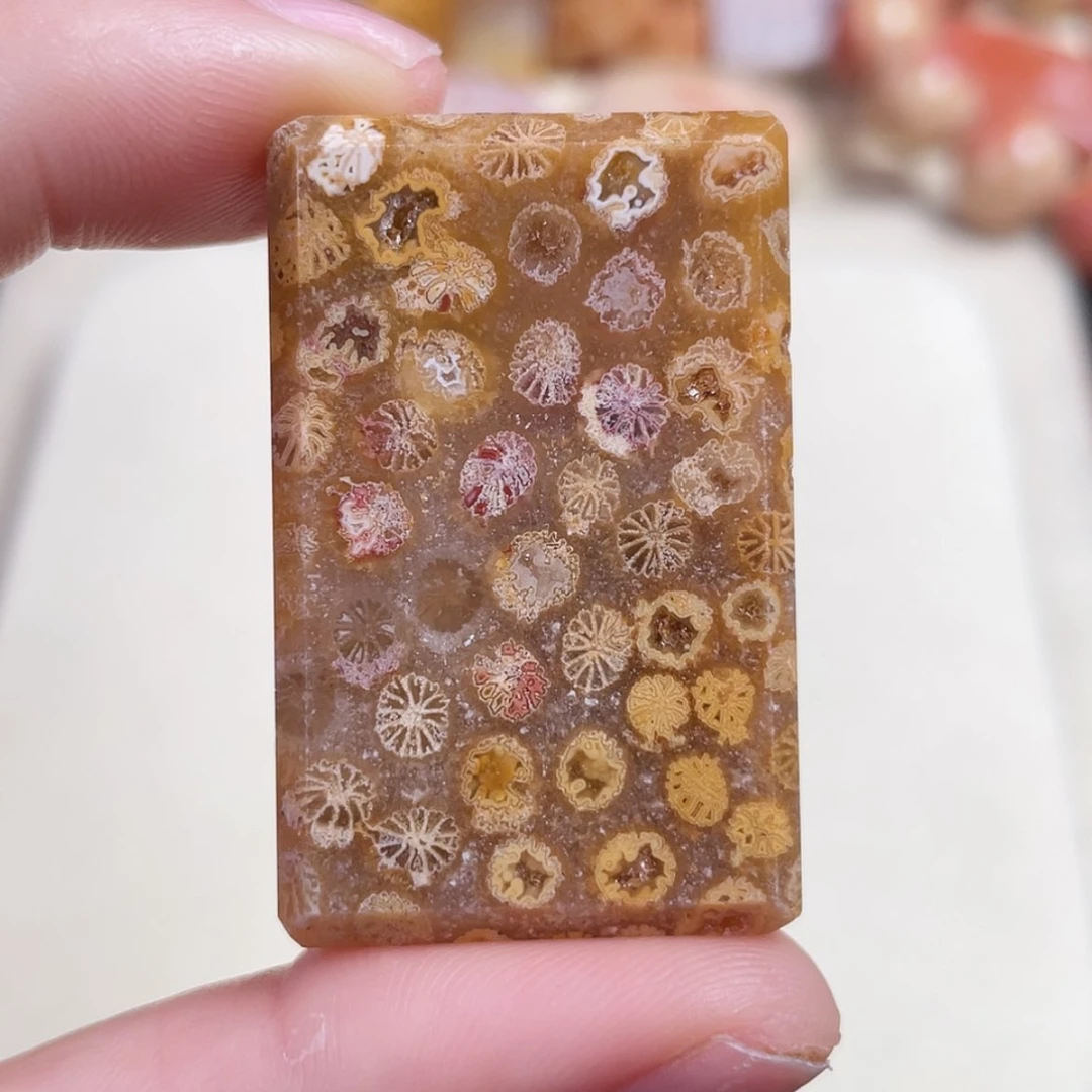 【闪购商品】未镶嵌手串硅化玉