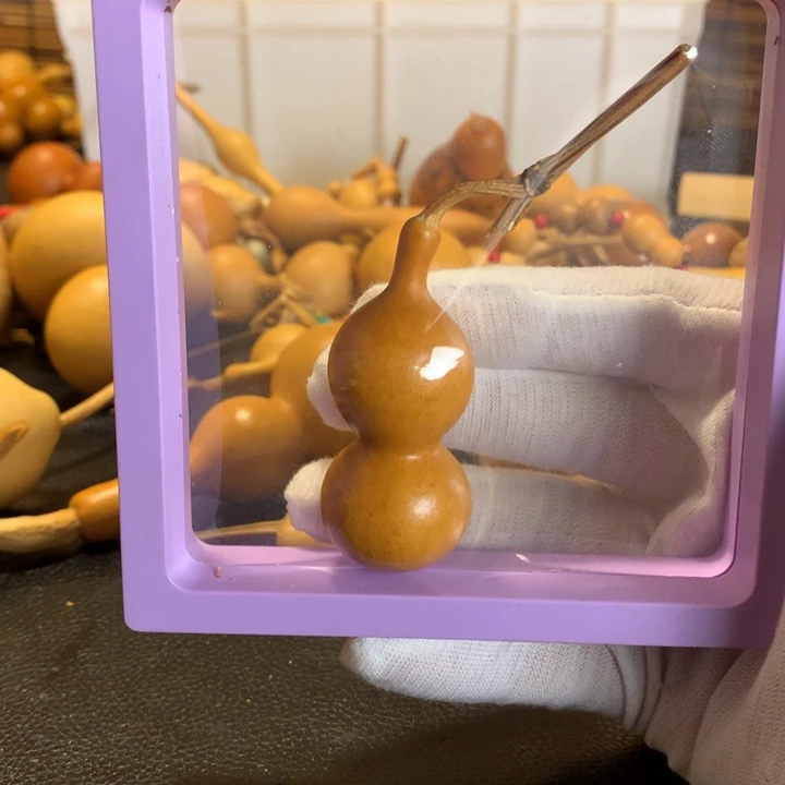 你自己说了吗他还没有说了他