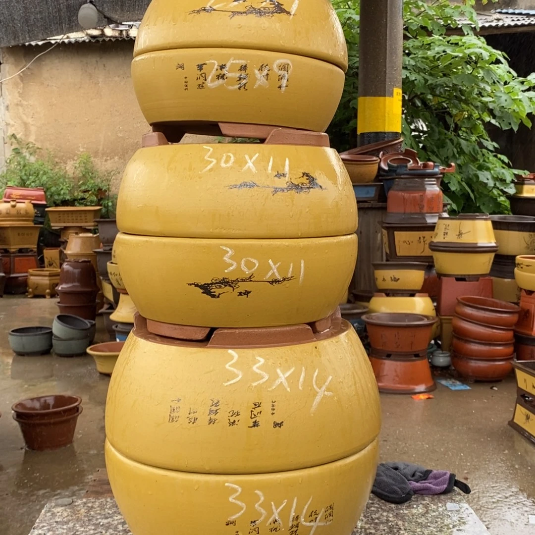 紫砂紫砂紫砂紫砂