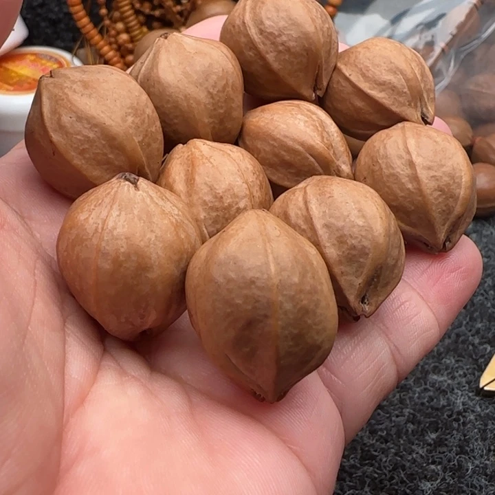 春***急橄榄核手串橄榄核原皮铁盒