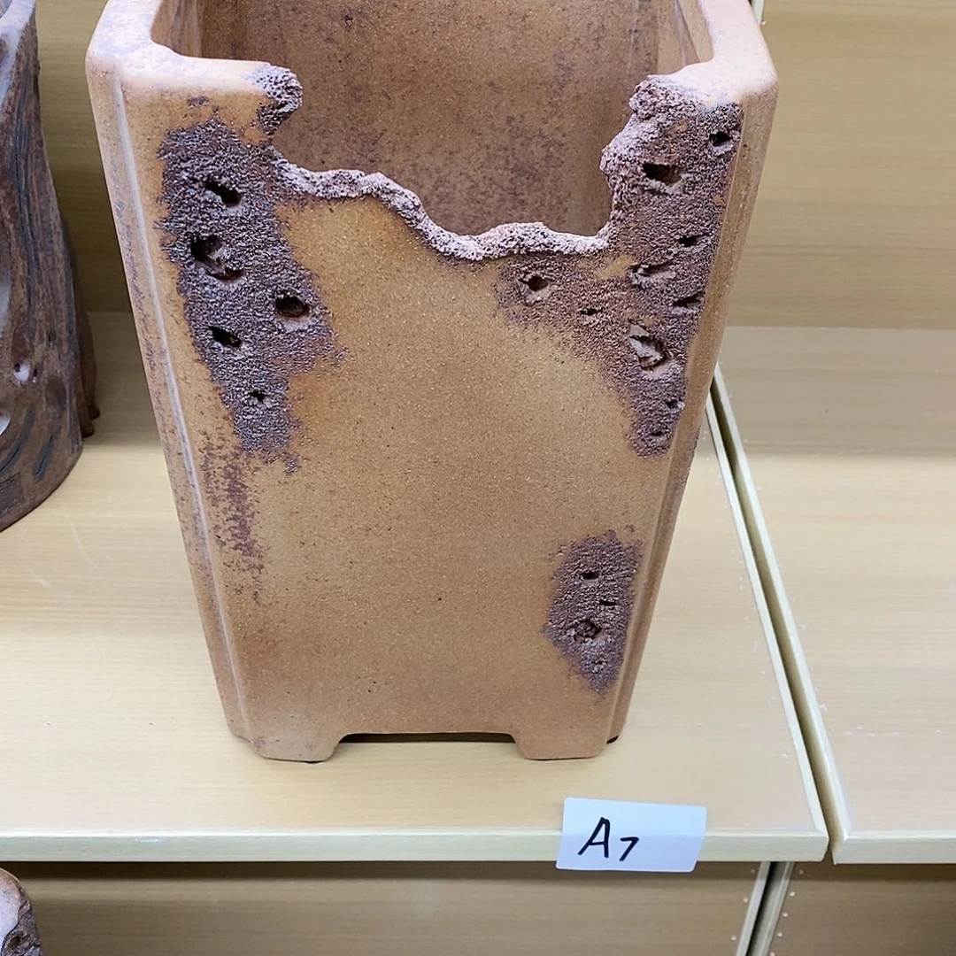 【闪购商品】紫砂公道杯雅**卉紫砂艺术