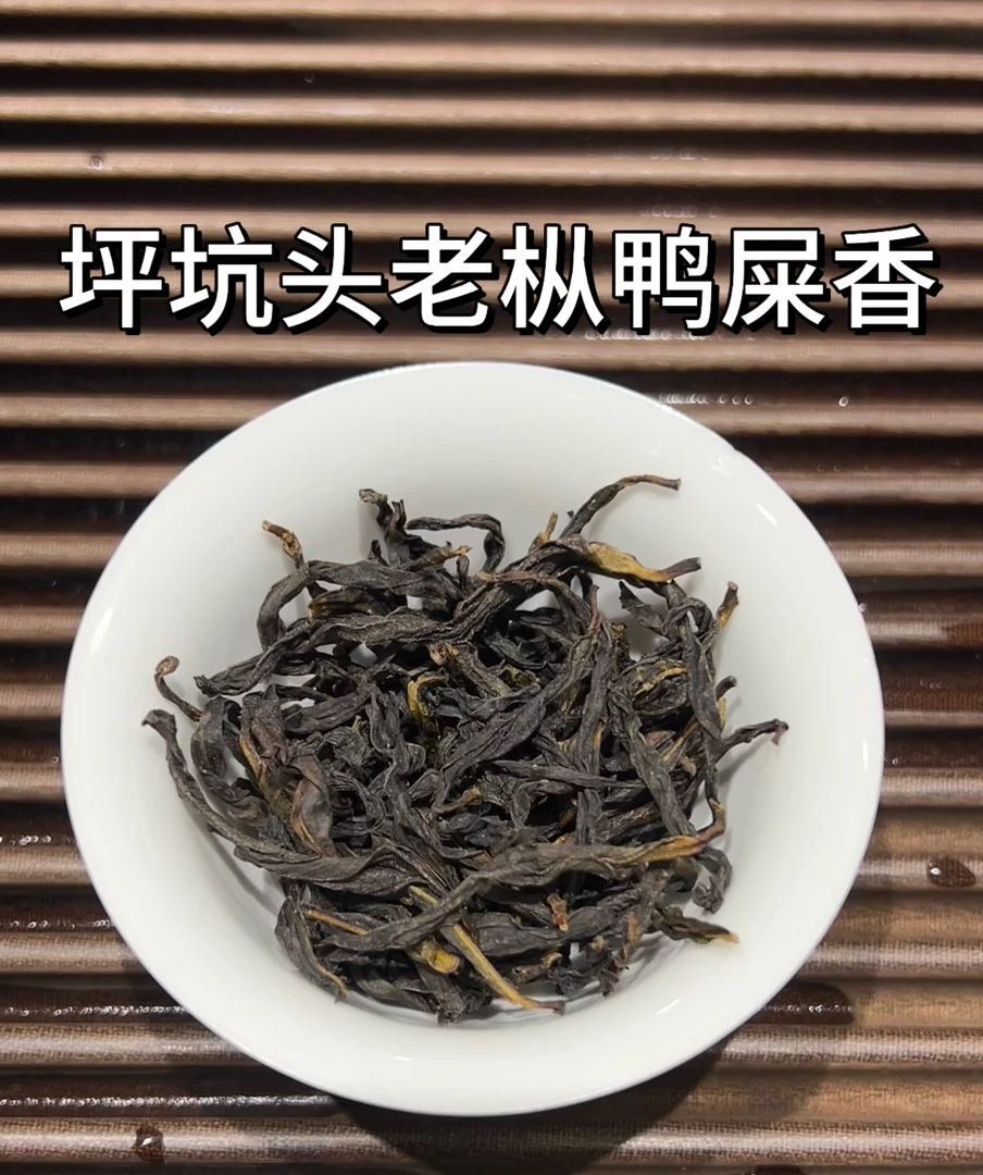 坪坑头【老枞鸭屎香】香气不高但是特殊，带有青苔的老枞毛味，有层次