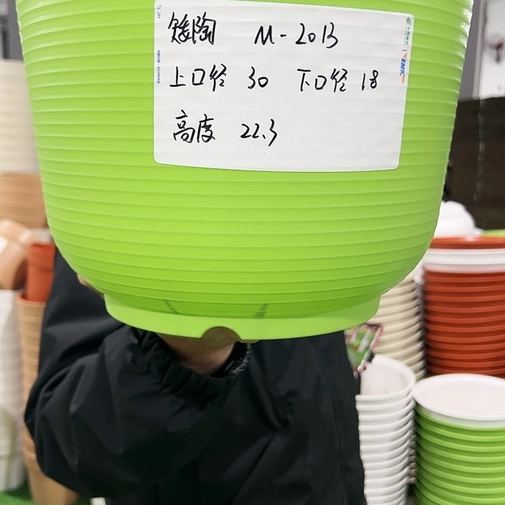 正品矮陶口30高22果绿色5个无托