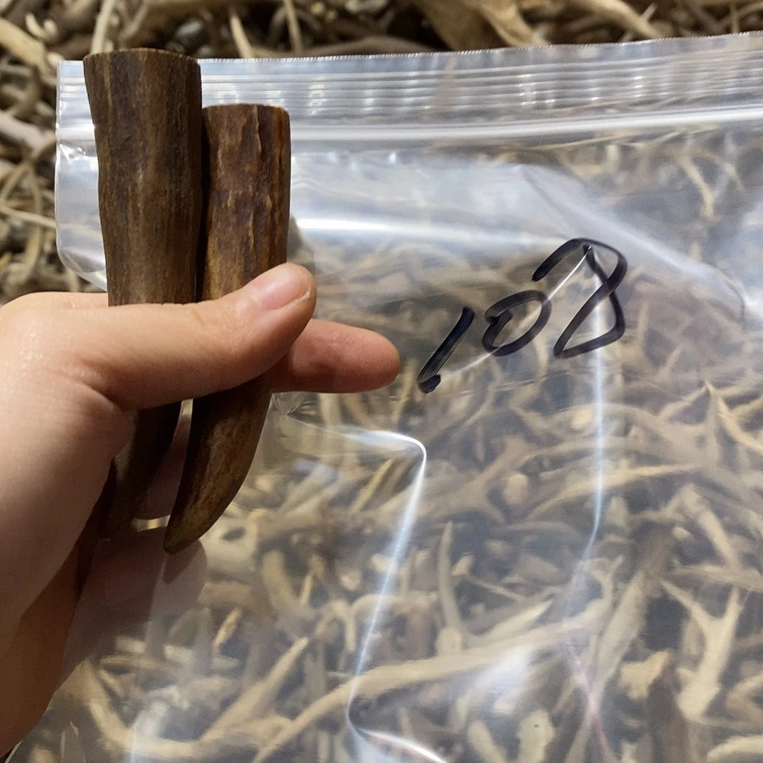 瑩***児非金属鹿角鹿角鹿角