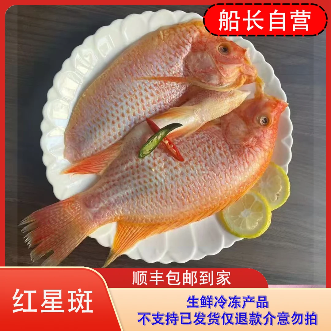 红星斑（彩虹斑）活鱼开背处理去鳞去鳃去内脏速冻无添加无冰衣