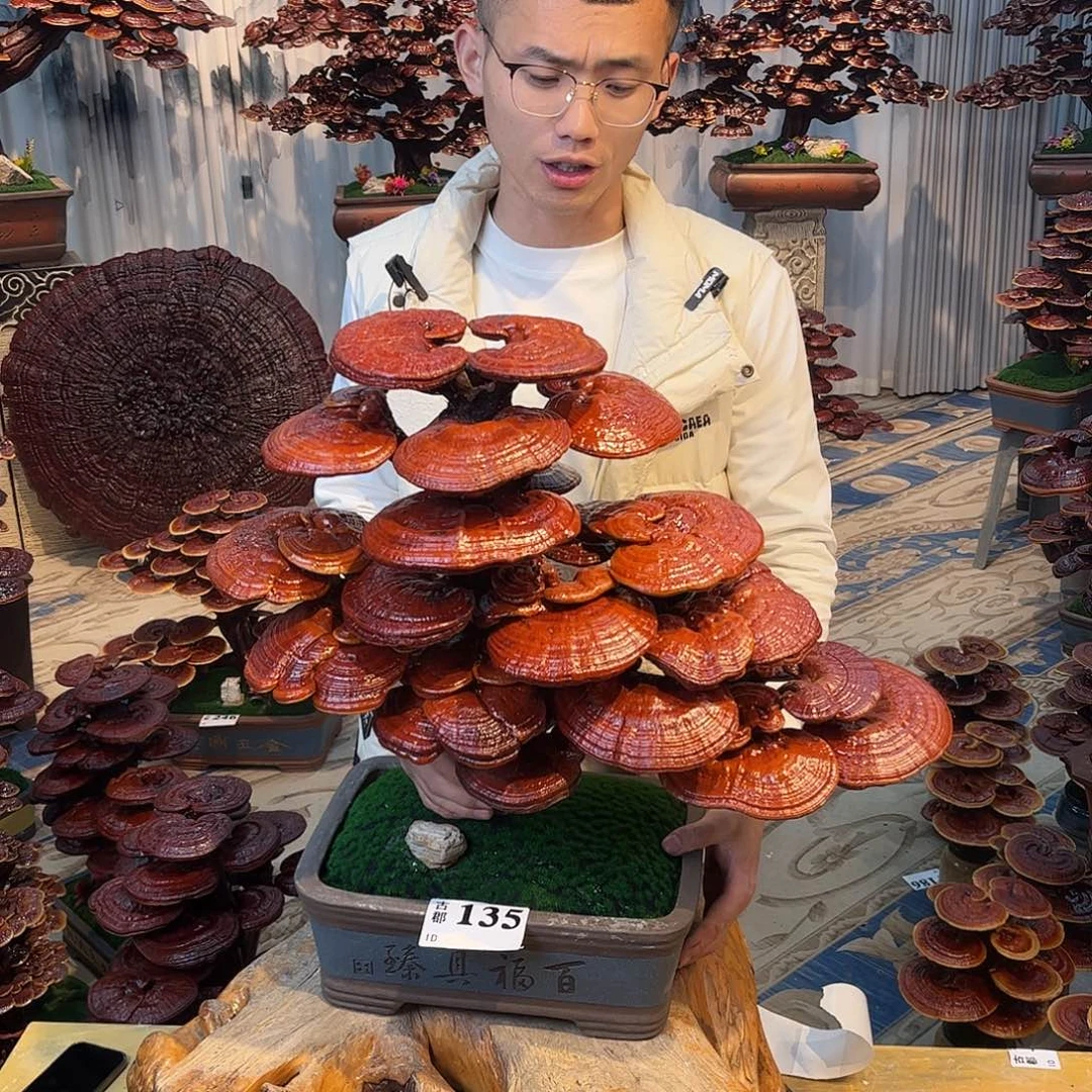 无花朵88888888888