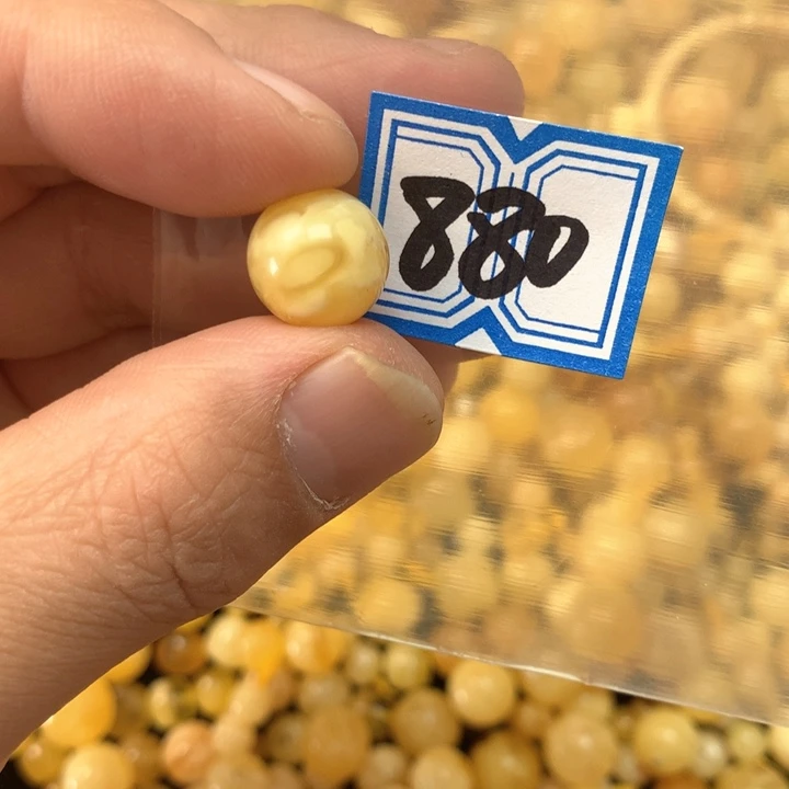 裸石琥珀未镶嵌瑕疵12.3