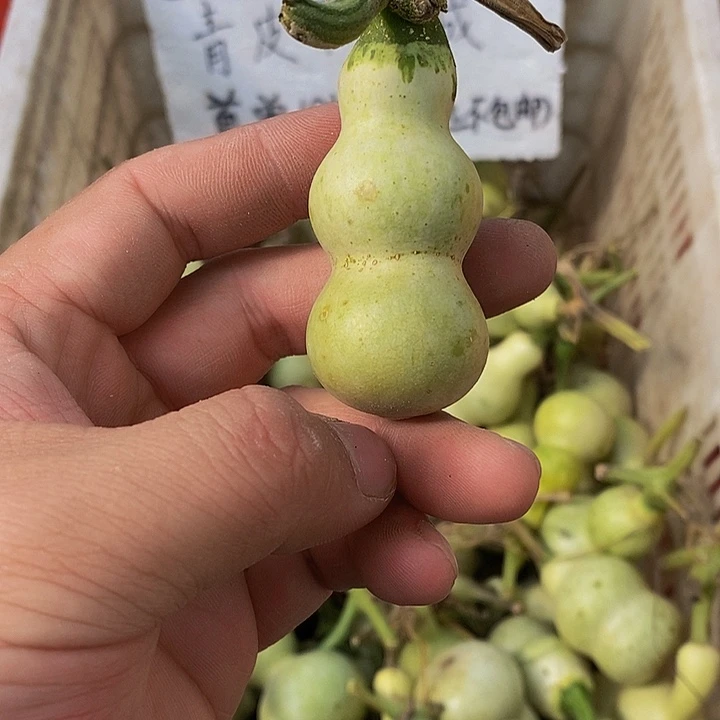 愛****仔哈哈哈哈哈哈哈哈哈哈哈哈