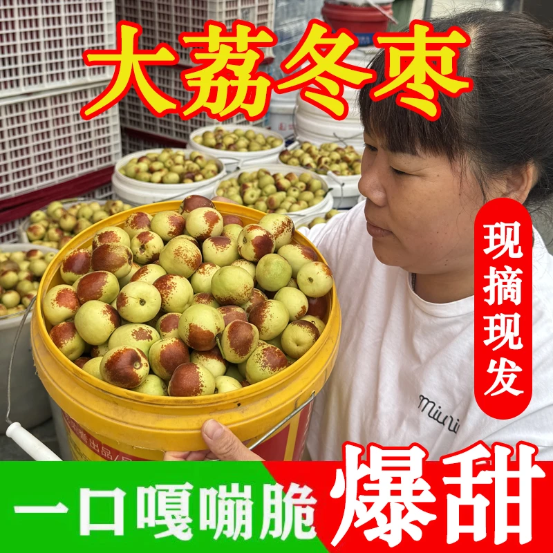陕西大荔冬枣新鲜大枣特大脆甜冬枣新鲜水果现摘现发整箱包邮蟠桃