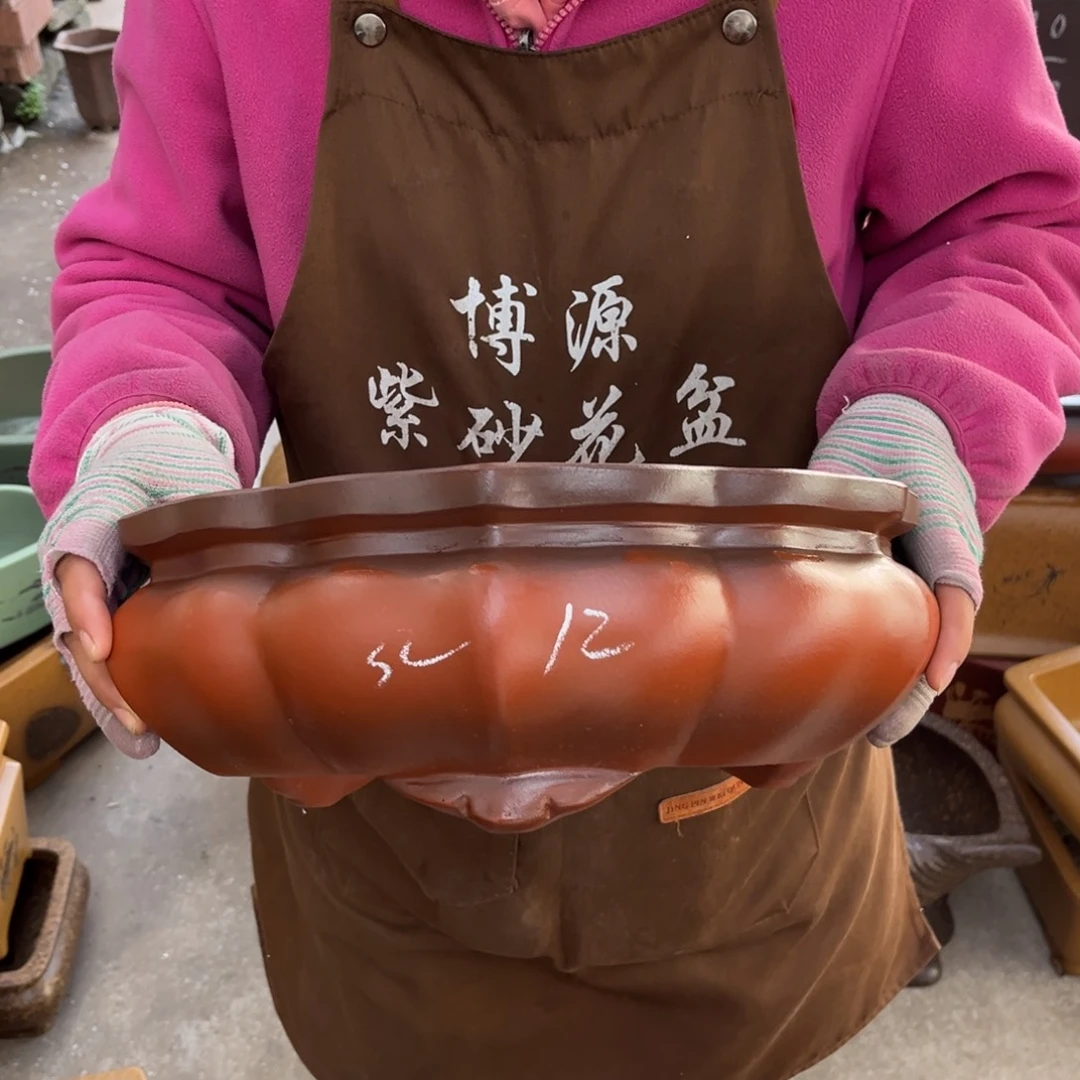 紫砂花盆盆景艺术