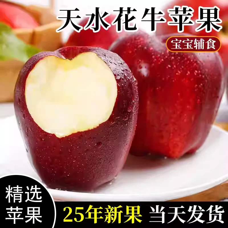 甘肃天水花牛苹果新鲜脆甜粉面两吃当季水果整箱发货