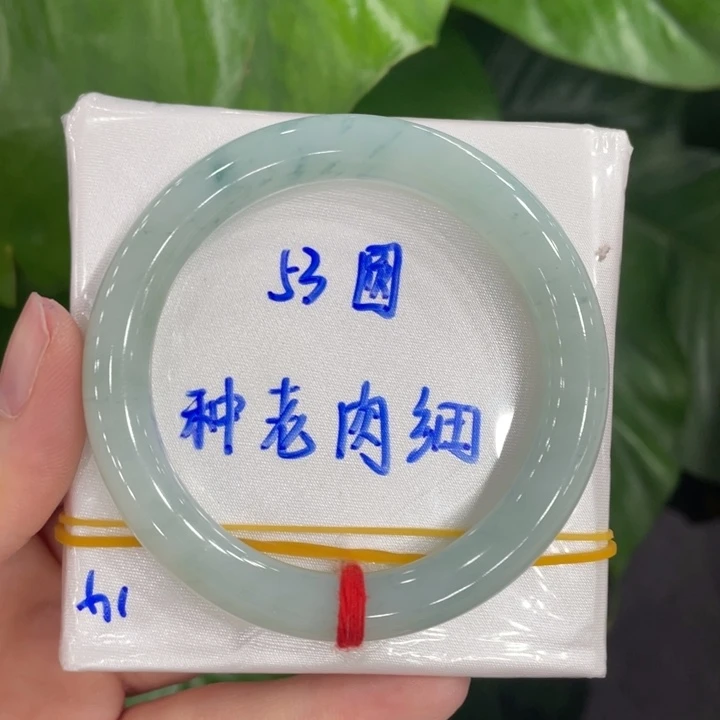 未镶嵌手镯翡翠缅甸天然翡翠