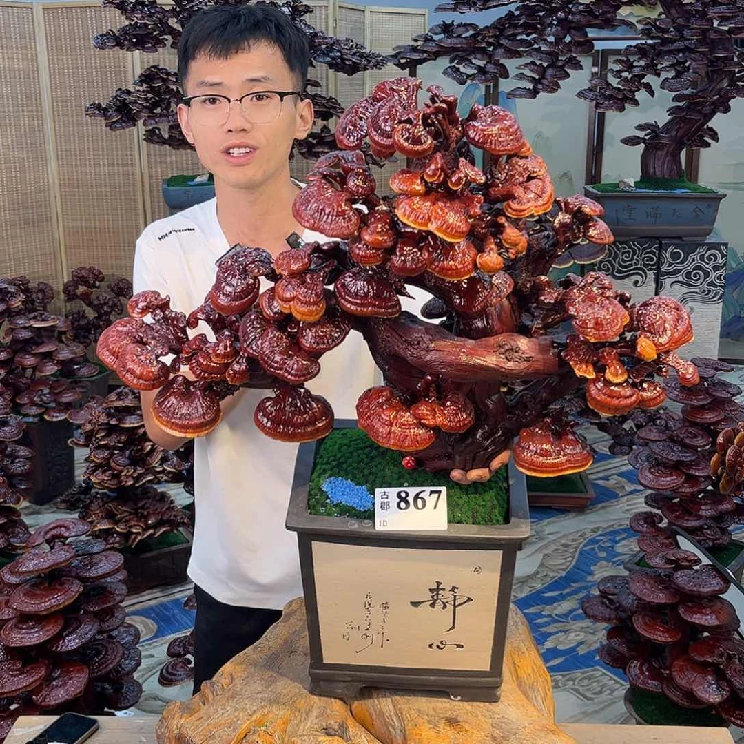 无花朵888888888888888888