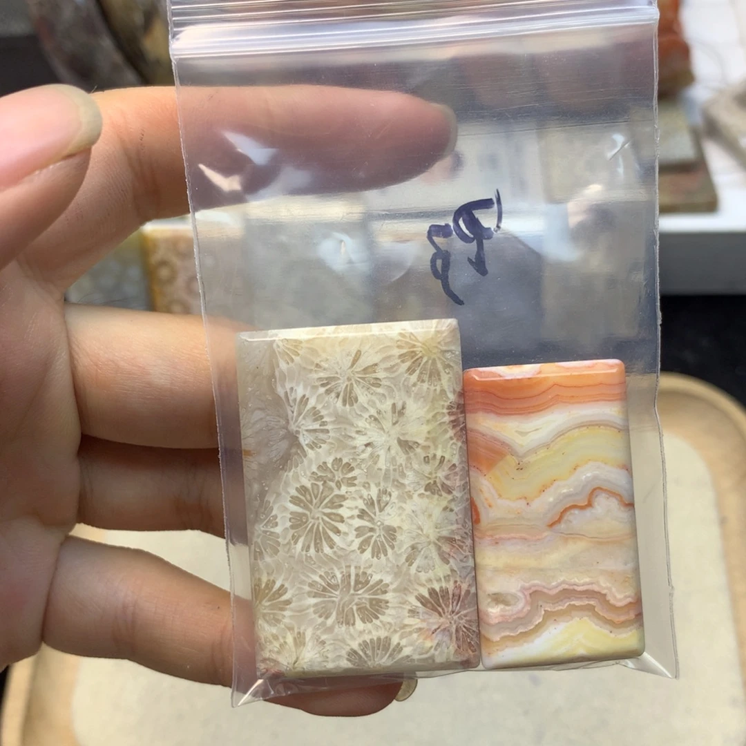 野***数硅化珊瑚（珊瑚玉）未镶嵌颈饰