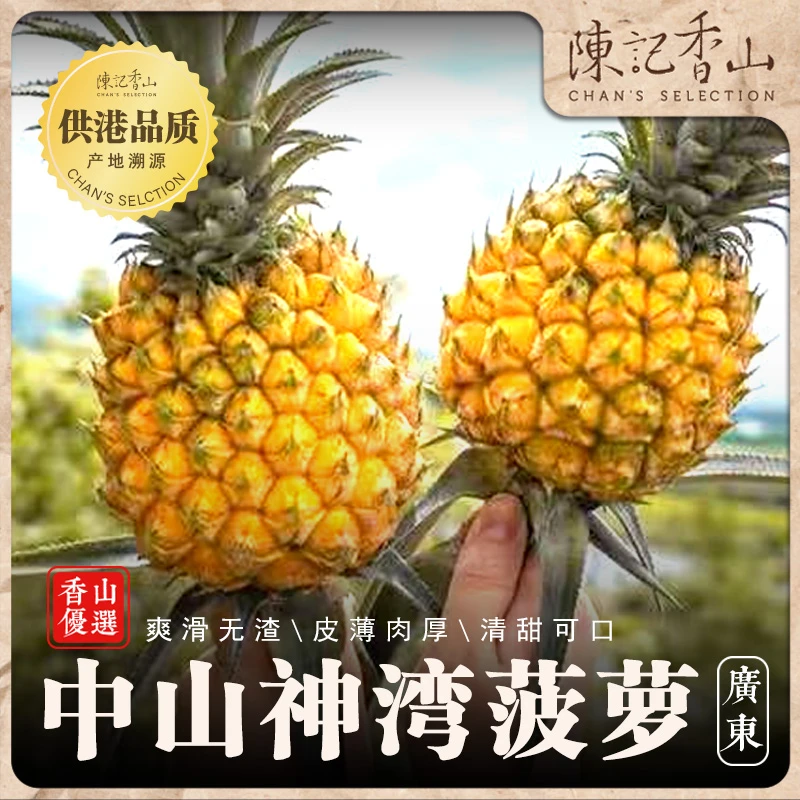 【陳记香山】5斤中山特产神湾菠萝皮薄肉厚清甜无渣人工种植现摘