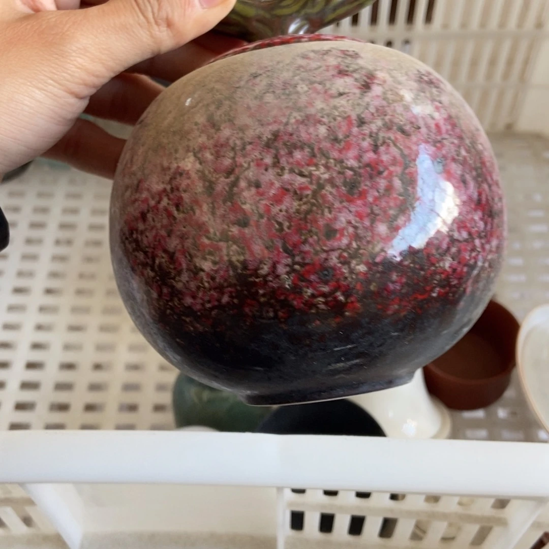 杯直播链接直播链接