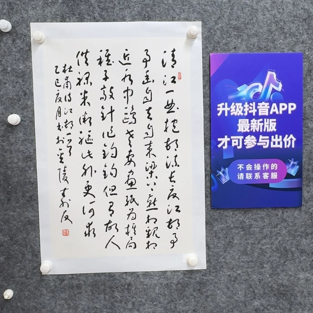 书法书法作品ZSY老师