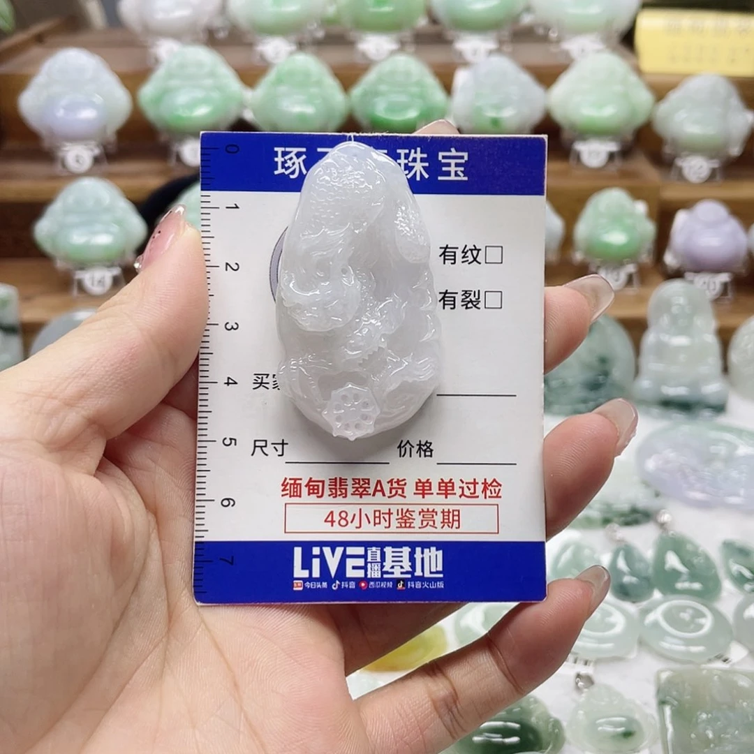 颈饰未镶嵌翡翠龙牌