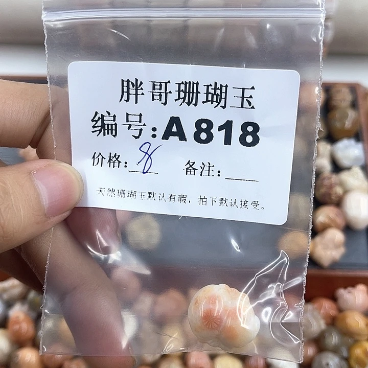 硅化玉颈饰未镶嵌?**u