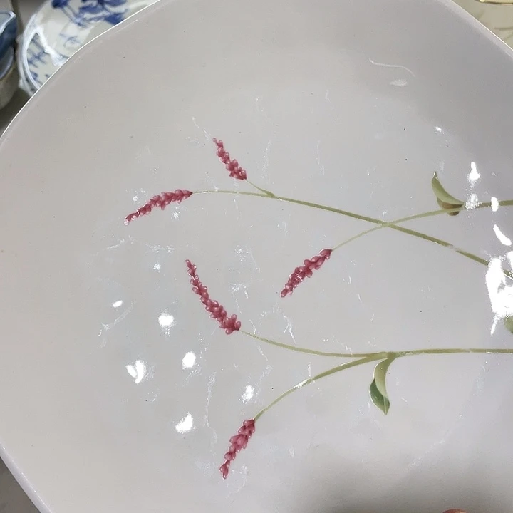 瓷片山***猫我不敢看电视我要哭我也