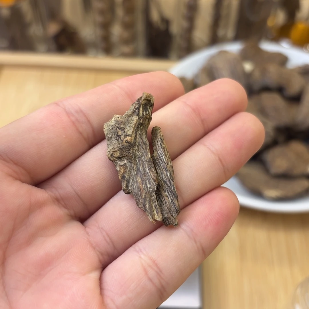 海南树根油树心1.25克