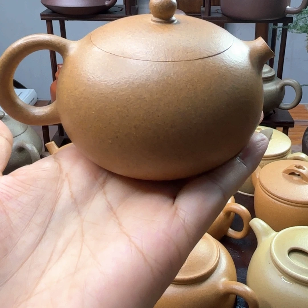 熊***猫茶壶紫砂老宕口黄金段河豚西施
