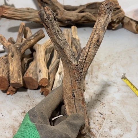 大果紫檀（缅甸花梨）凉