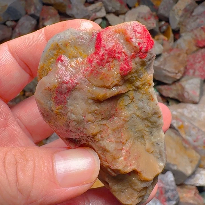 昌化石关**音昌化鸡血石