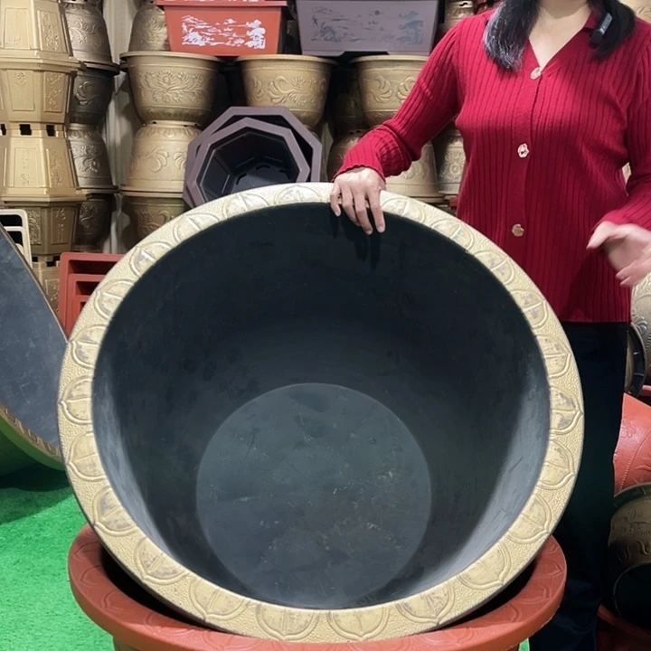圆盆古铜八零四个