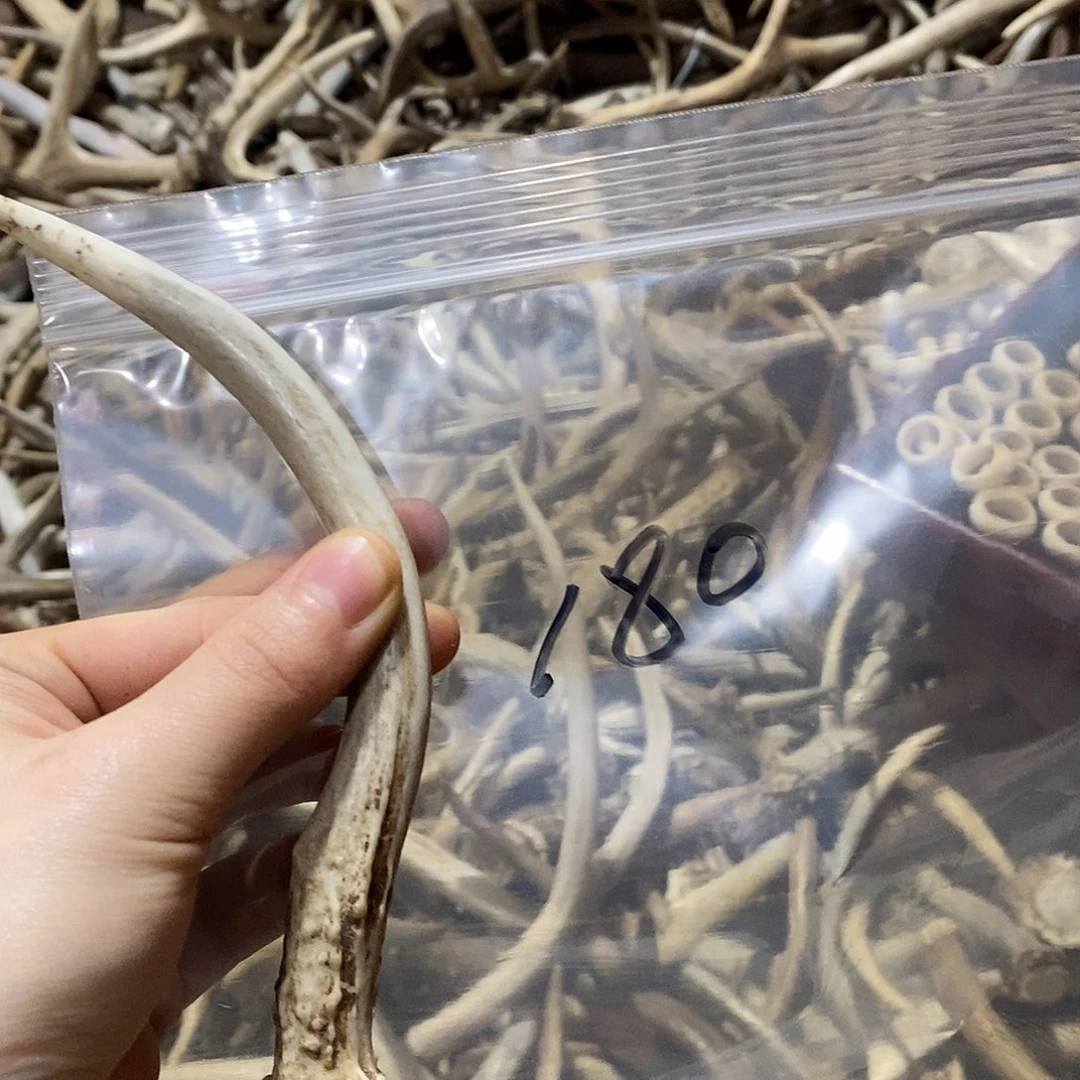 自***由非金属鹿角鹿角鹿j