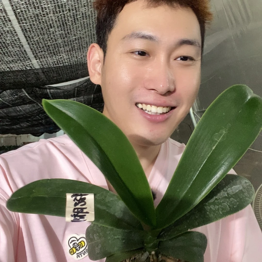 无花朵牛记小美女福利