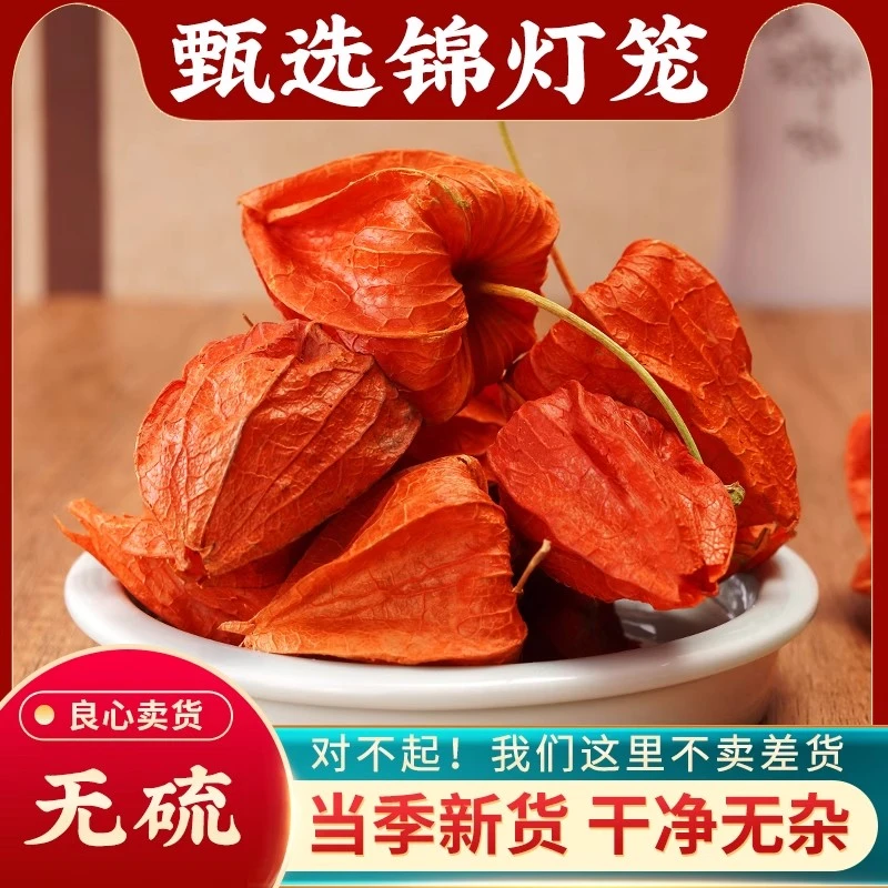 锦灯笼50g-500g野生挂金灯苦姑娘果红姑娘果苦菇娘红菇娘儿非砂仁