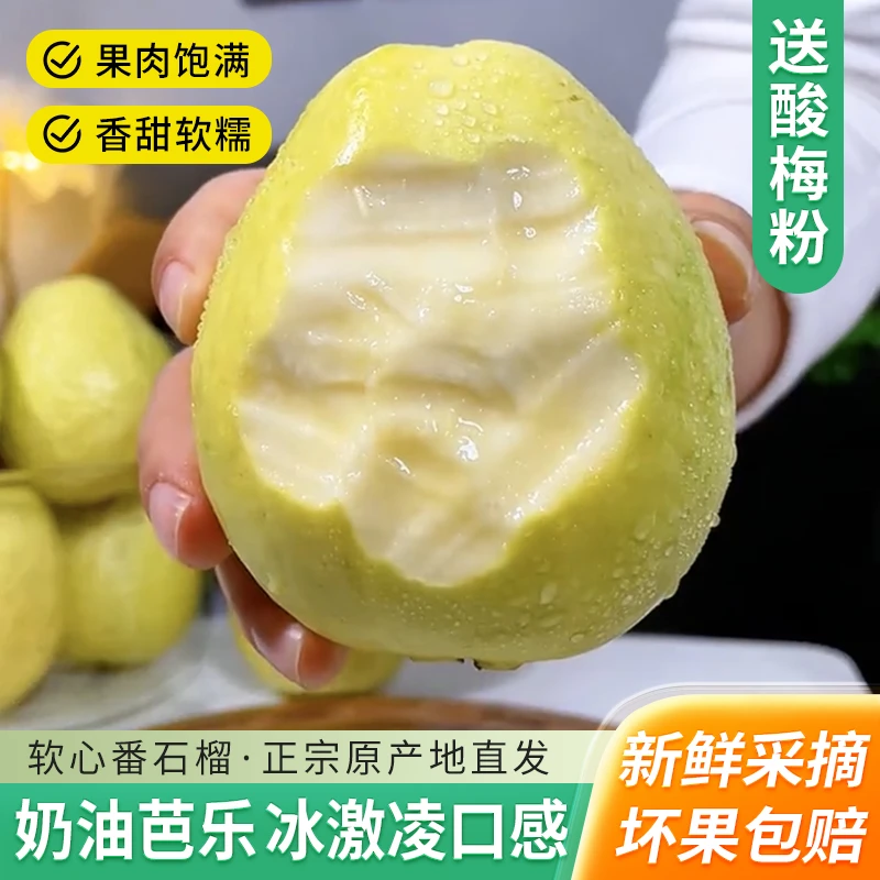 【特大果】正宗广西白心奶油芭乐番石榴产地直发应季新鲜芭乐水果