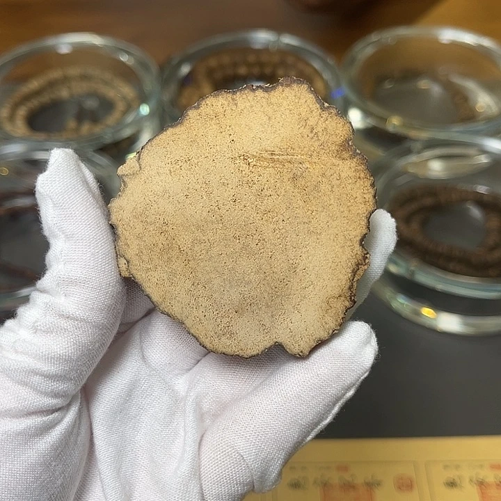木天然海里的谢谢支持
